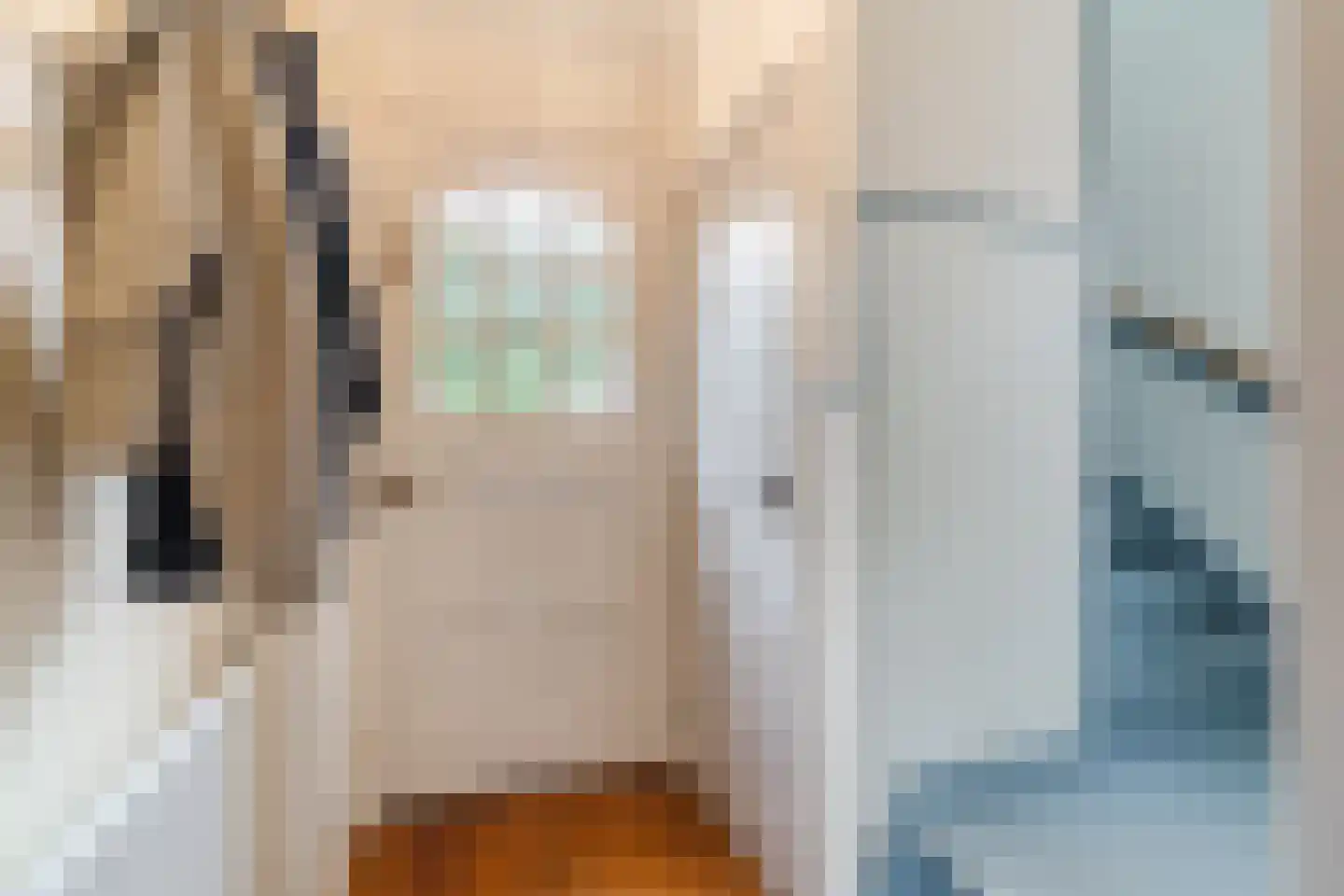 Europalaan 59 Bladel thumbnail 4