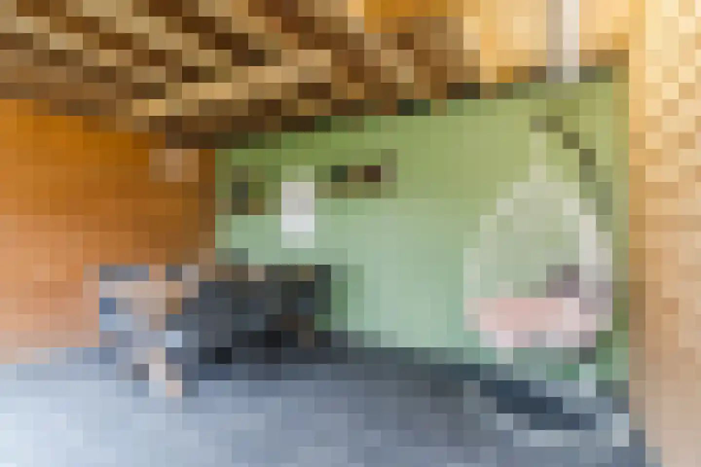 Europalaan 59 Bladel thumbnail 44