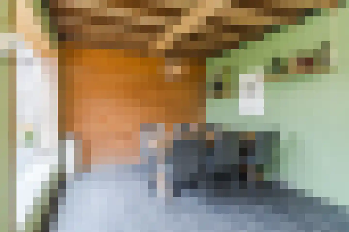 Europalaan 59 Bladel thumbnail 45
