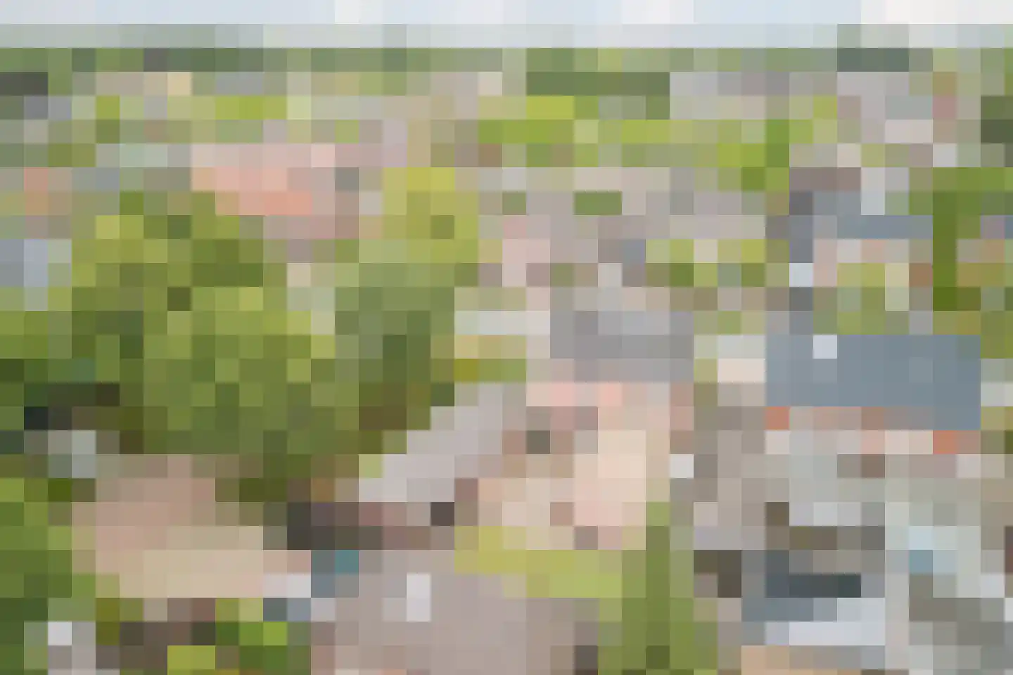 Europalaan 59 Bladel thumbnail 50
