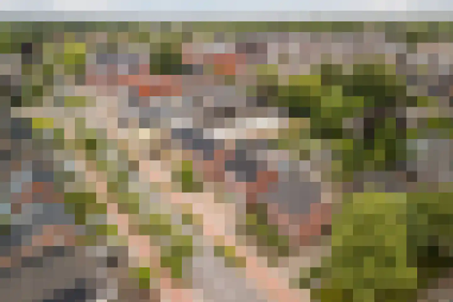 Europalaan 59 Bladel thumbnail 56