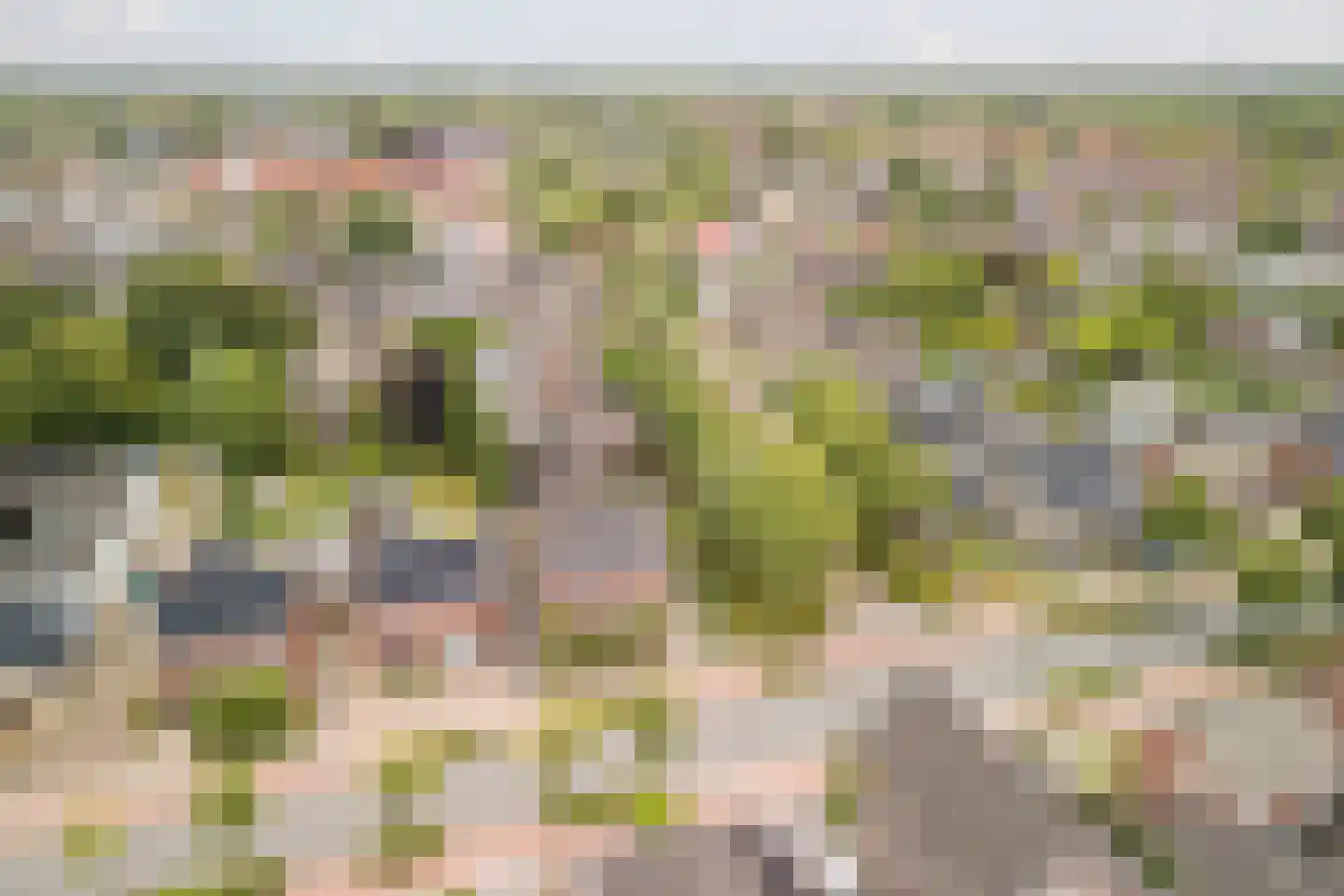 Europalaan 59 Bladel thumbnail 57