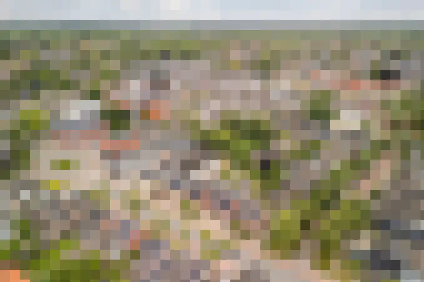 Europalaan 59 Bladel thumbnail 58