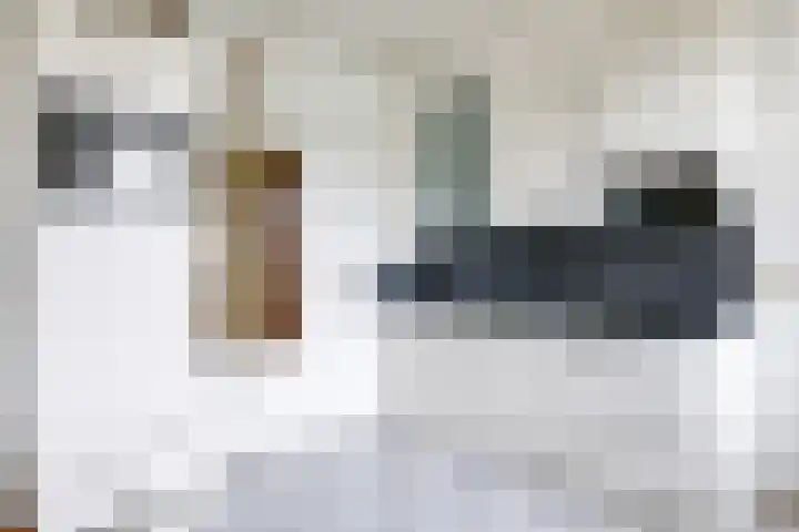 Europalaan 6 Gendt thumbnail 10