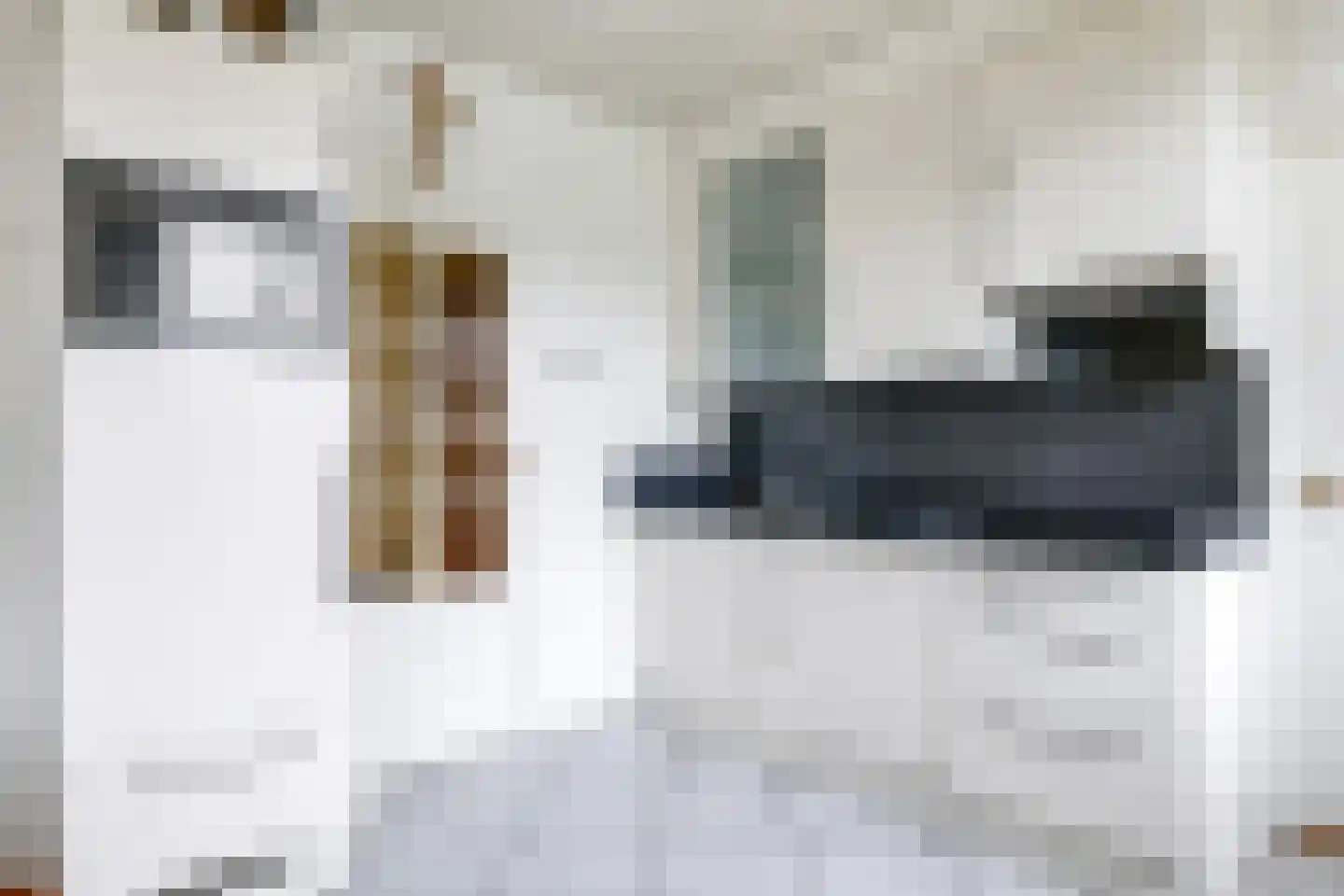 Europalaan 6 Gendt thumbnail 10