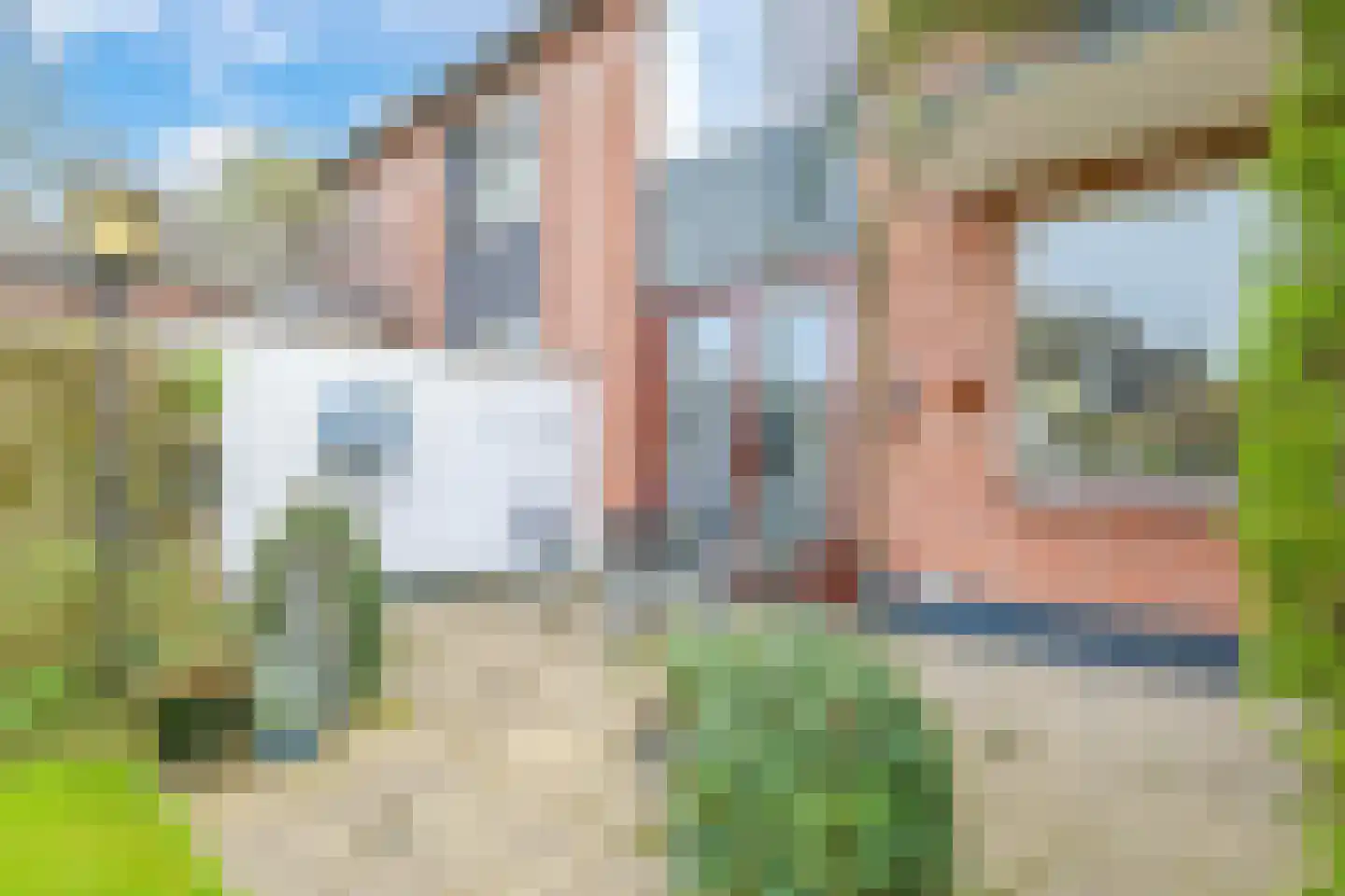 Europalaan 6 Gendt thumbnail 41