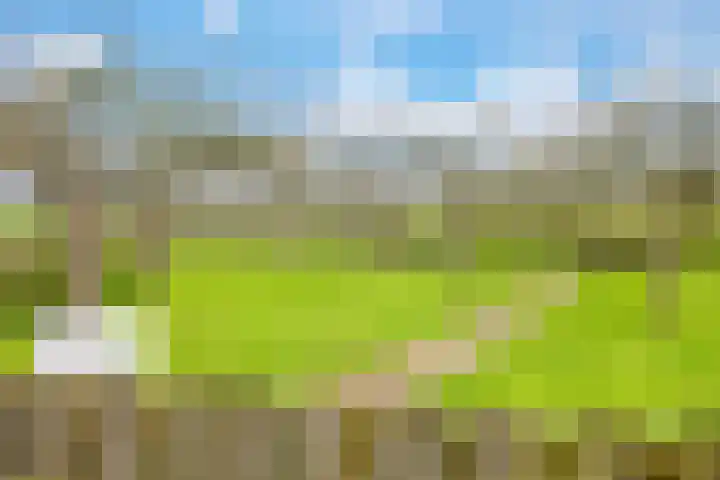 Europalaan 6 Gendt thumbnail 47