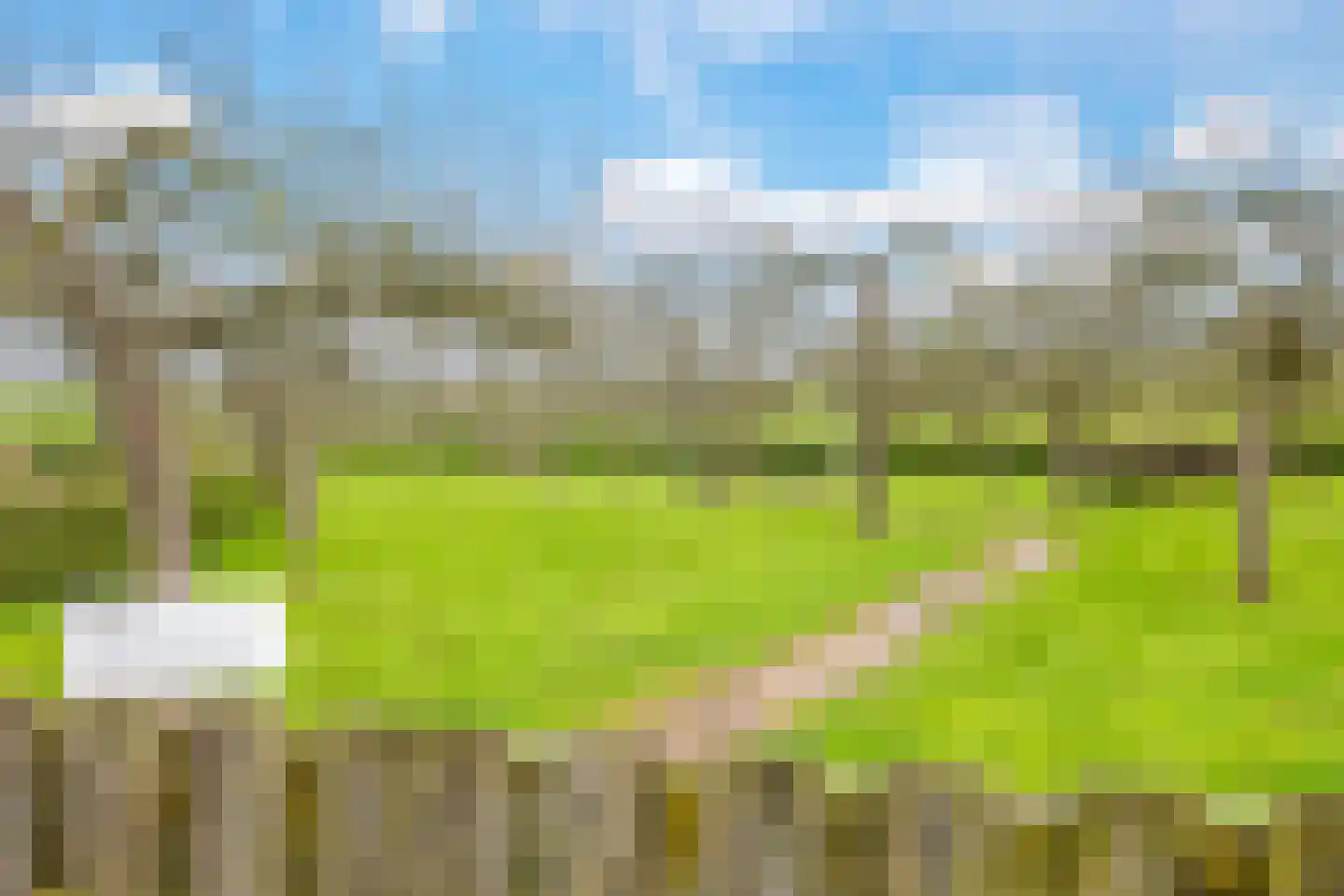 Europalaan 6 Gendt thumbnail 47