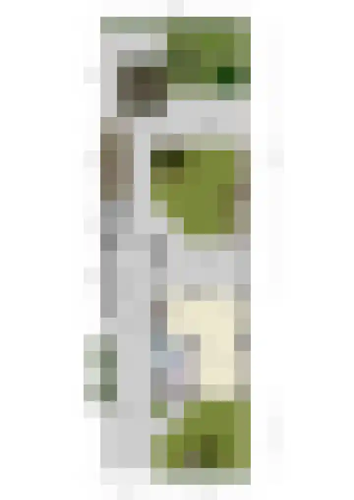Europalaan 6 Gendt thumbnail 53
