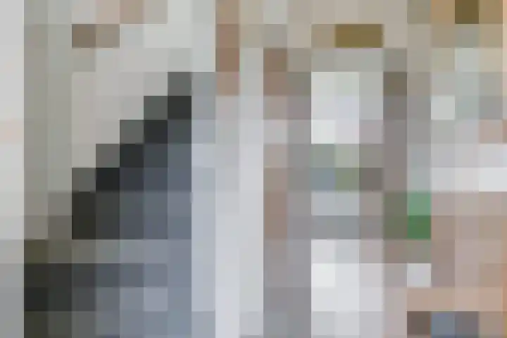 Europalaan 6 Gendt thumbnail 7