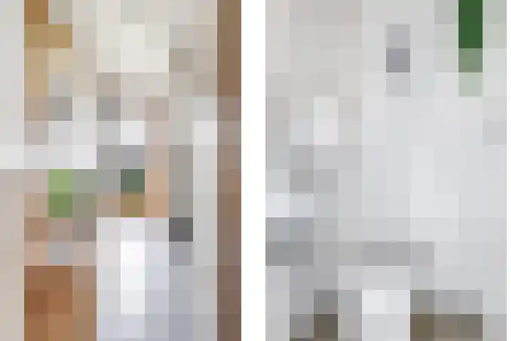 Europalaan 6 Gendt thumbnail 8