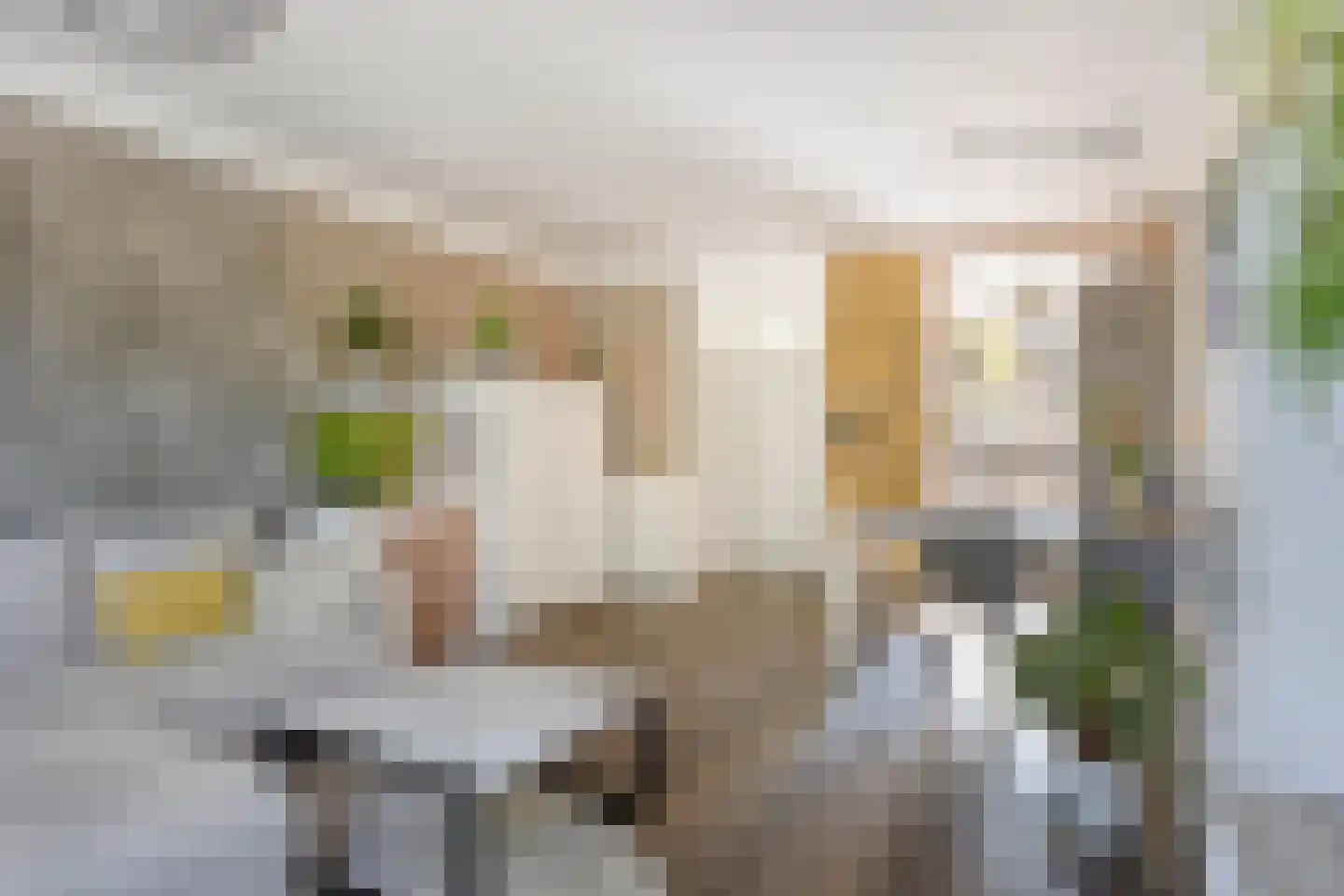 Europalaan 6 Goes thumbnail 10