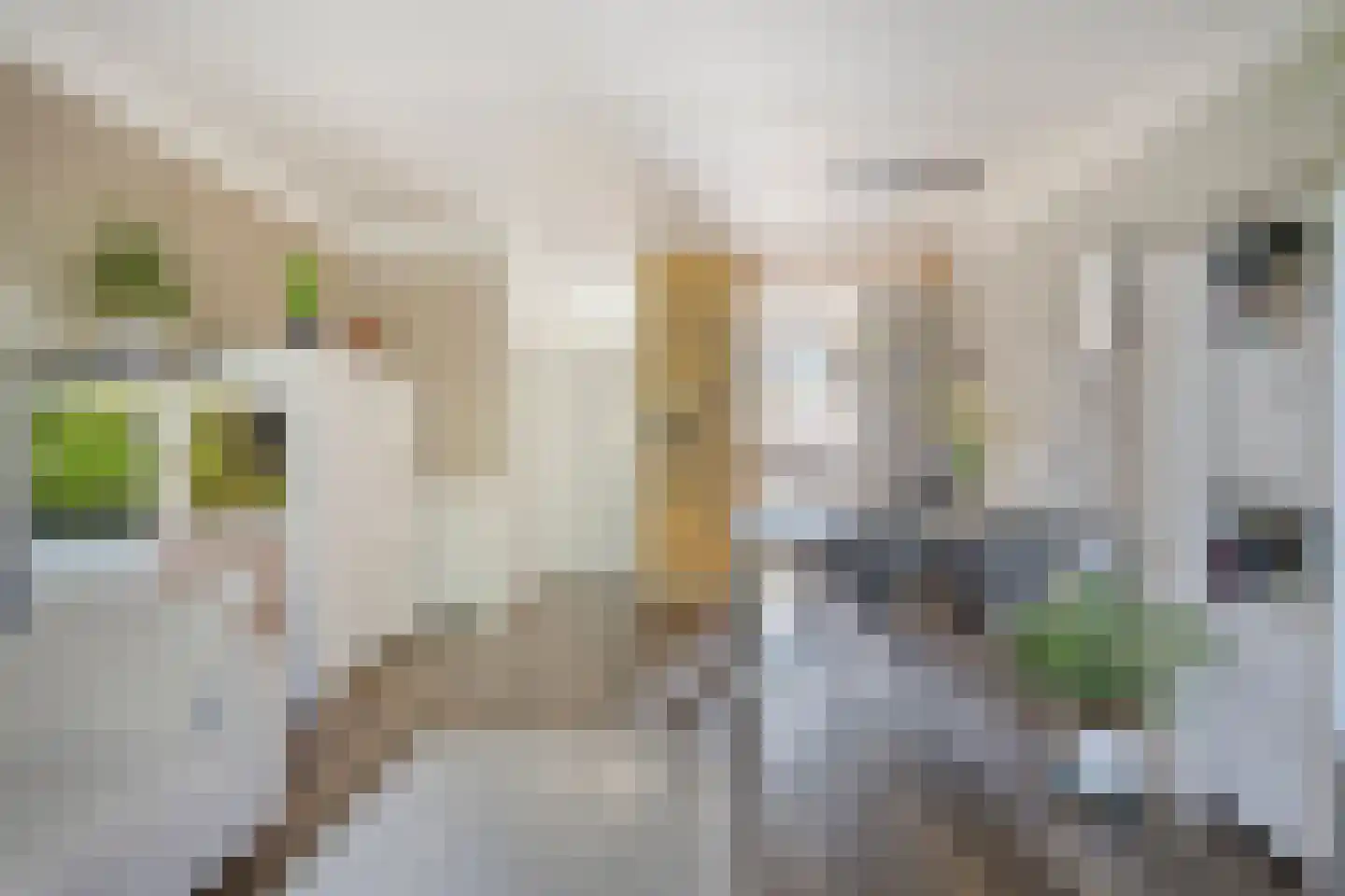 Europalaan 6 Goes thumbnail 11