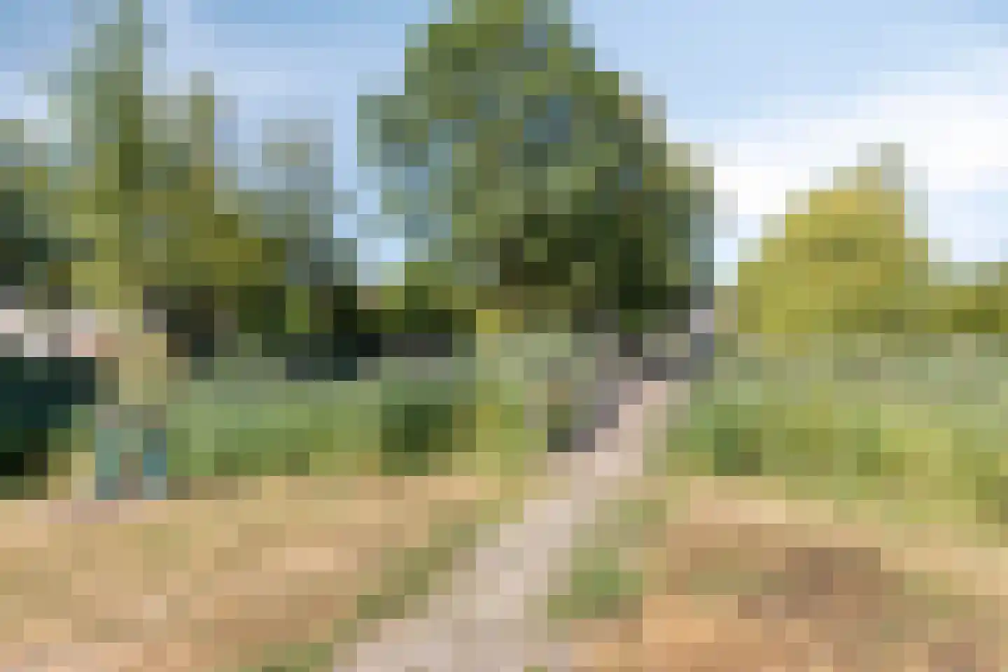 Europalaan 6 Goes thumbnail 25