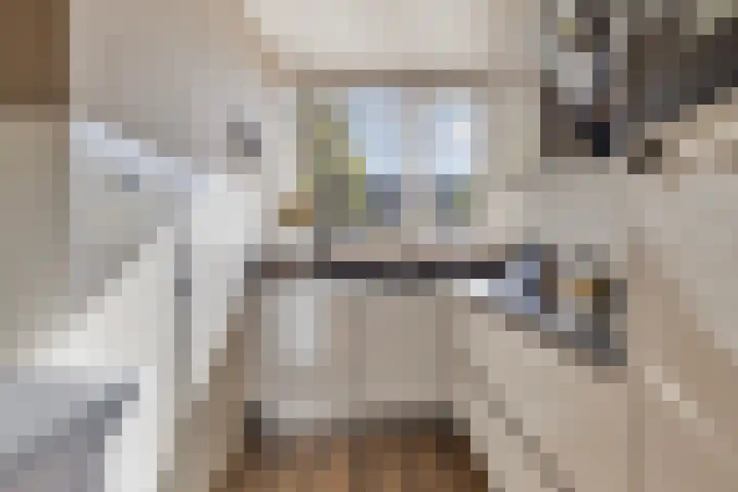 Europalaan 6 Goes foto 3