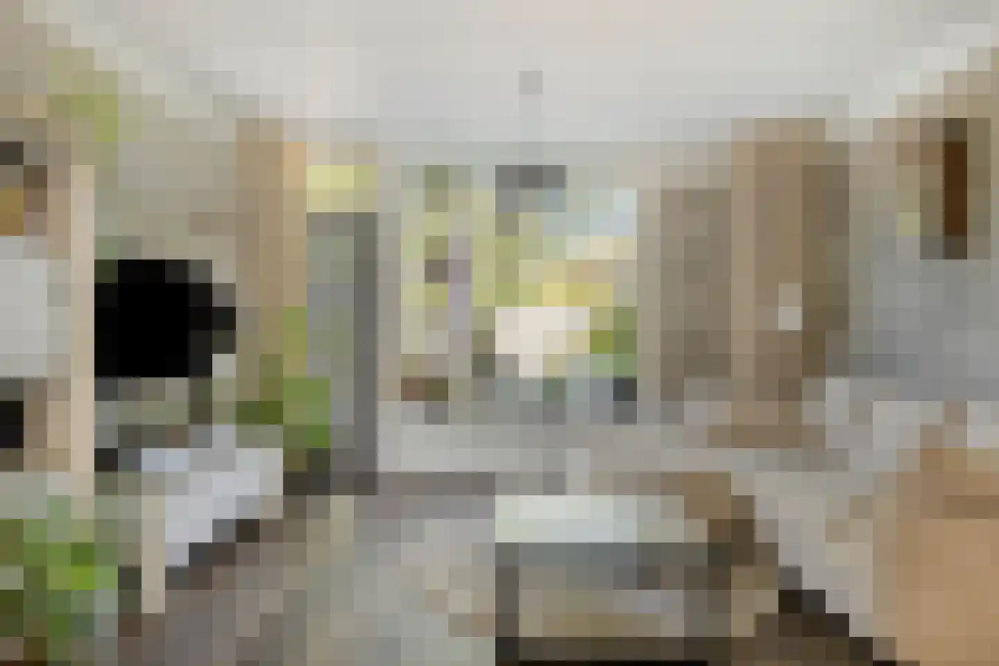 Europalaan 6 Goes thumbnail 9