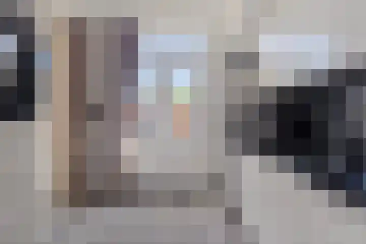 Europalaan 6 Middelburg thumbnail 13