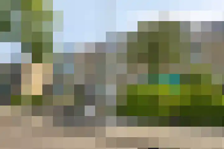 Europalaan 6 Middelburg thumbnail 31