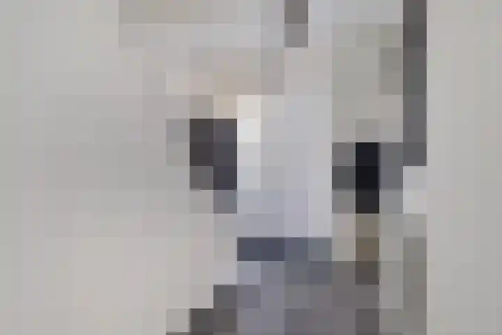Europalaan 6 Middelburg thumbnail 7