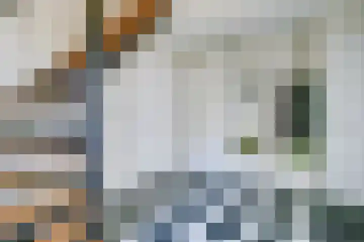 Europalaan 60 Bladel thumbnail 10
