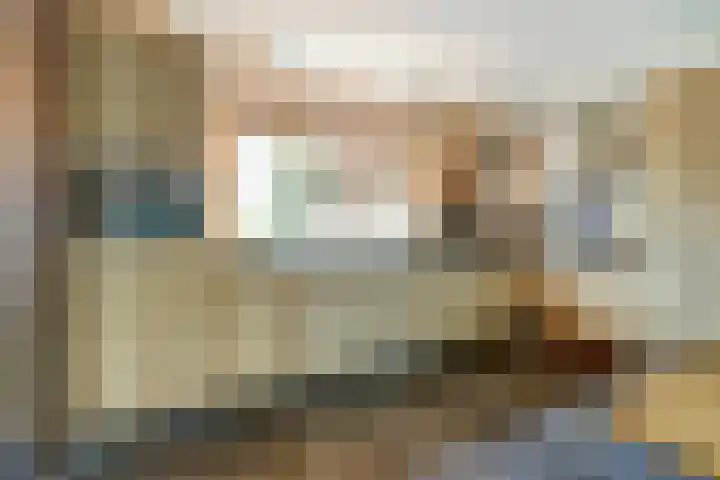 Europalaan 60 Bladel thumbnail 14