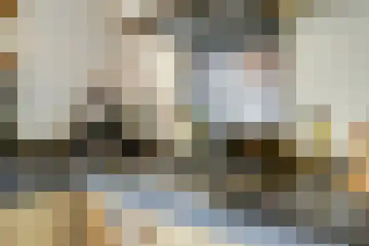 Europalaan 60 Bladel thumbnail 15