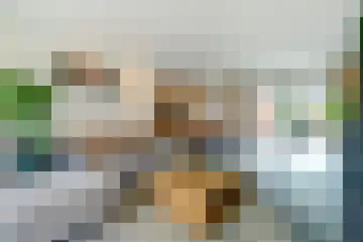 Europalaan 60 Bladel thumbnail 23