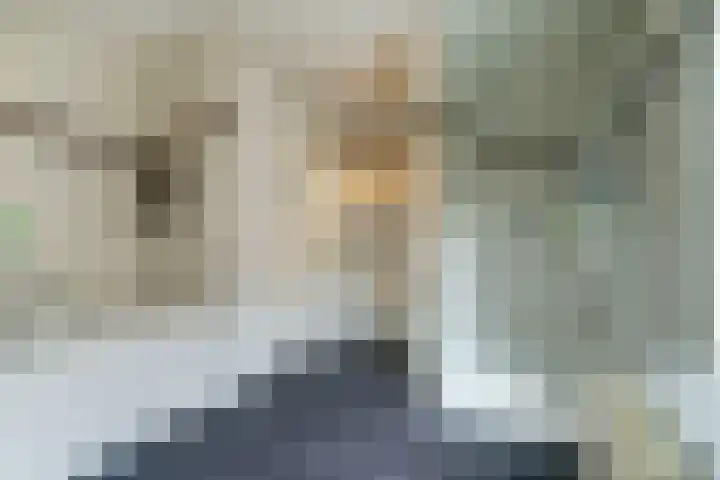 Europalaan 60 Bladel thumbnail 40