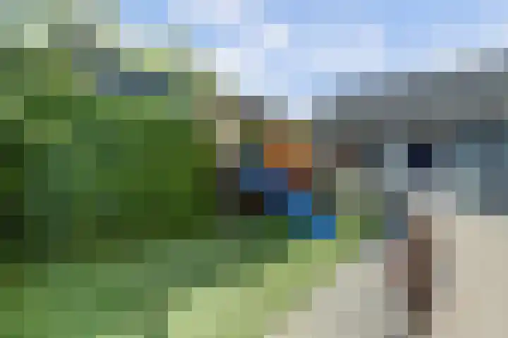 Europalaan 60 Bladel thumbnail 50