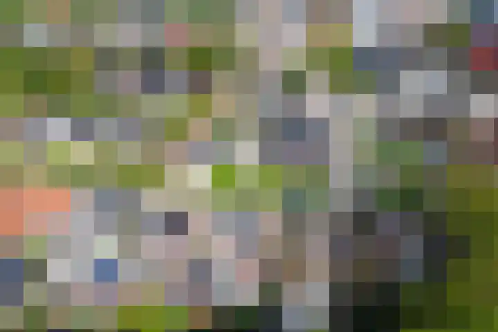 Europalaan 60 Bladel thumbnail 56