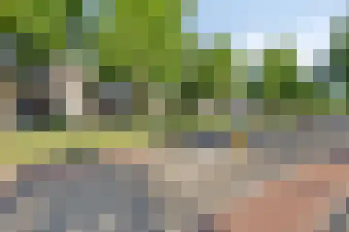 Europalaan 60 Boxtel thumbnail 24