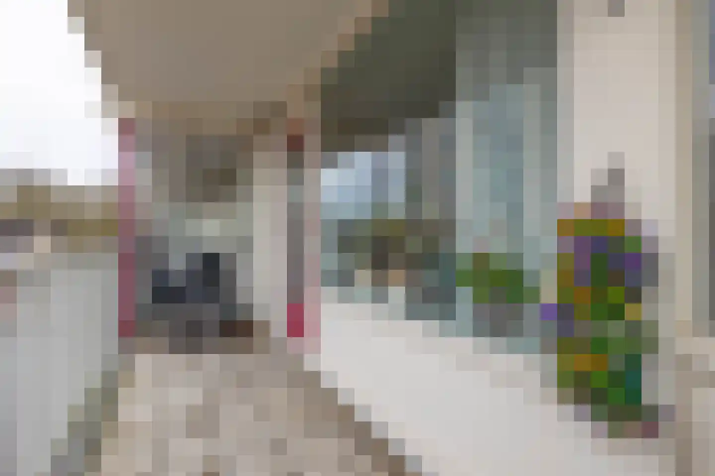 Europalaan 60 Stadskanaal thumbnail 26