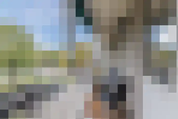 Europalaan 609 Tilburg thumbnail 20