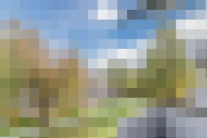 Europalaan 609 Tilburg thumbnail 21