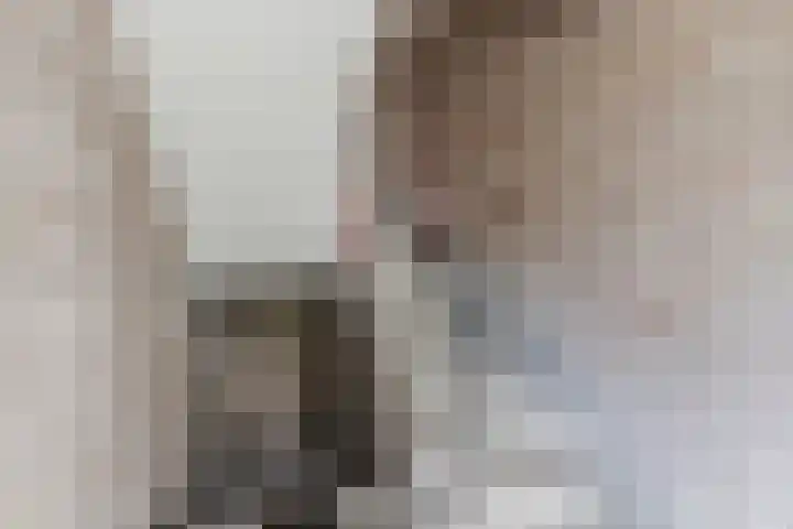 Europalaan 609 Tilburg thumbnail 22