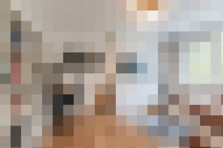 Europalaan 609 Tilburg thumbnail 6