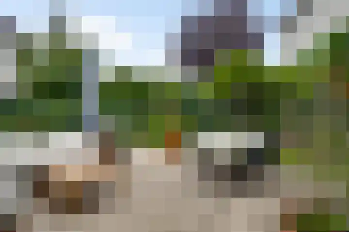 Europalaan 61 Maastricht thumbnail 4