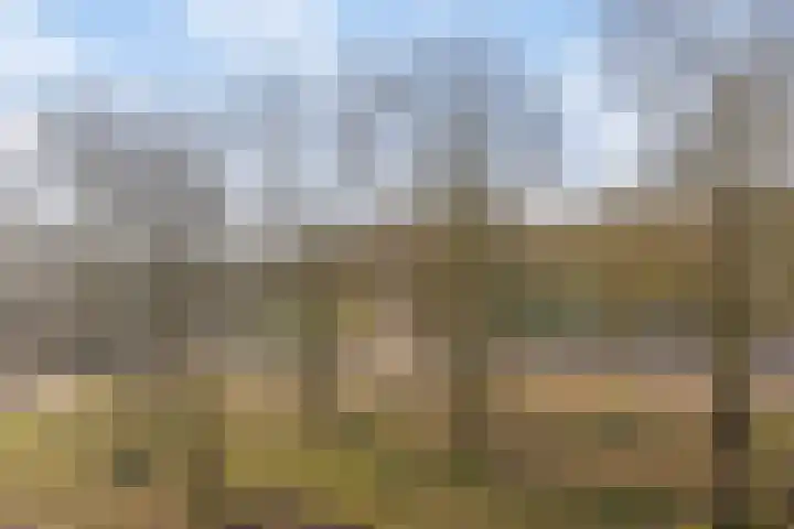 Europalaan 611 Tilburg thumbnail 14