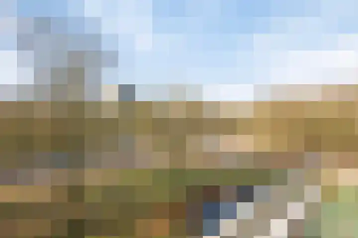 Europalaan 611 Tilburg thumbnail 15