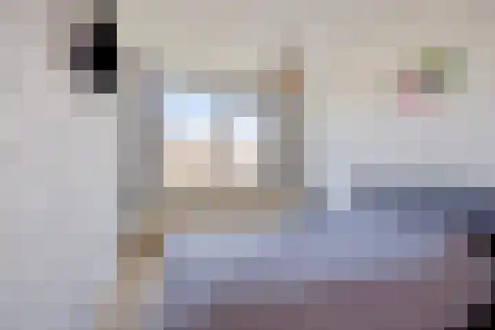 Europalaan 611 Tilburg thumbnail 22
