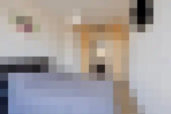 Europalaan 611 Tilburg thumbnail 23