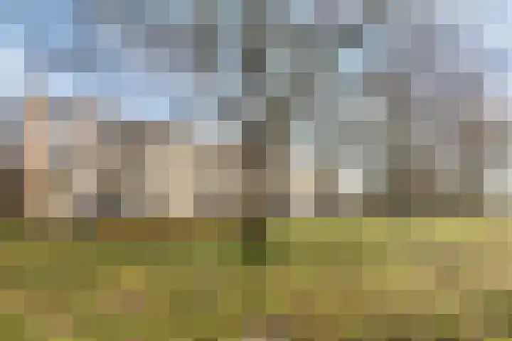 Europalaan 611 Tilburg thumbnail 38