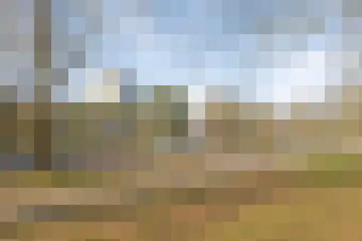 Europalaan 611 Tilburg thumbnail 39