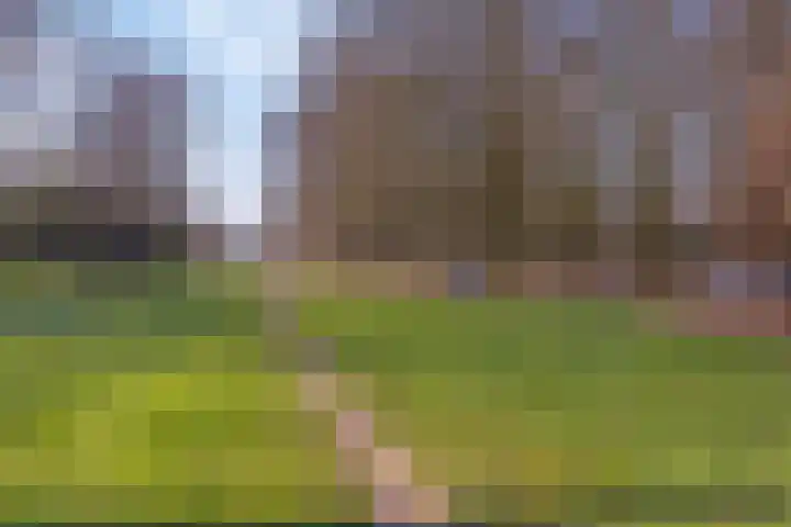 Europalaan 611 Tilburg thumbnail 40