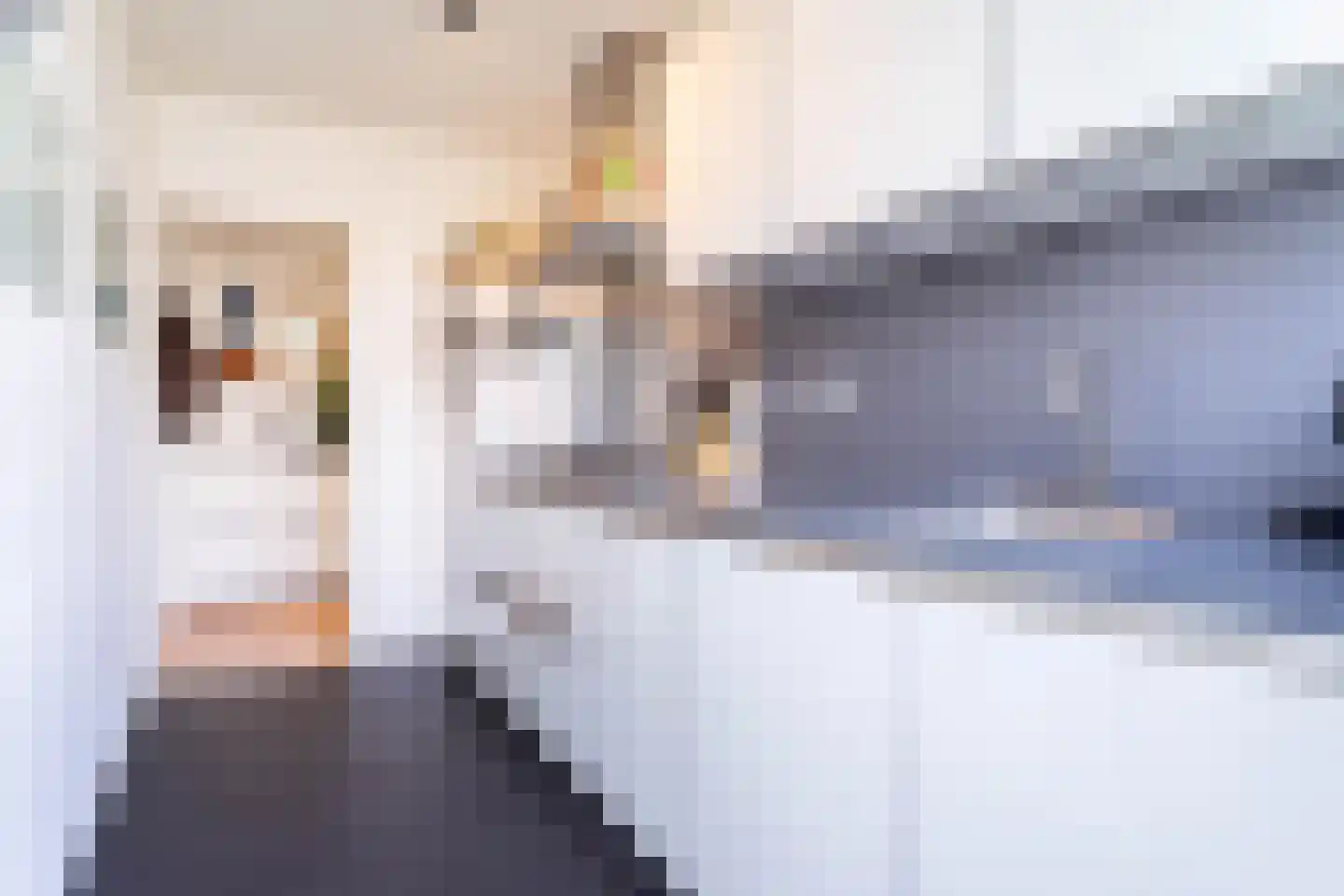 Europalaan 613 Tilburg thumbnail 11