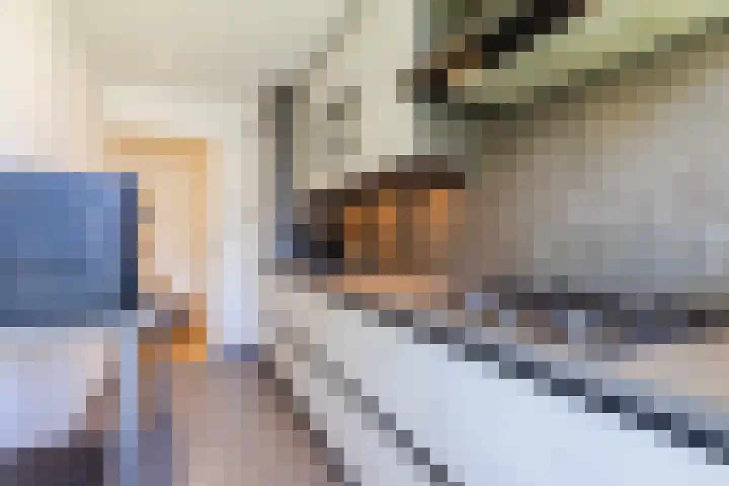 Europalaan 617 Tilburg thumbnail 10