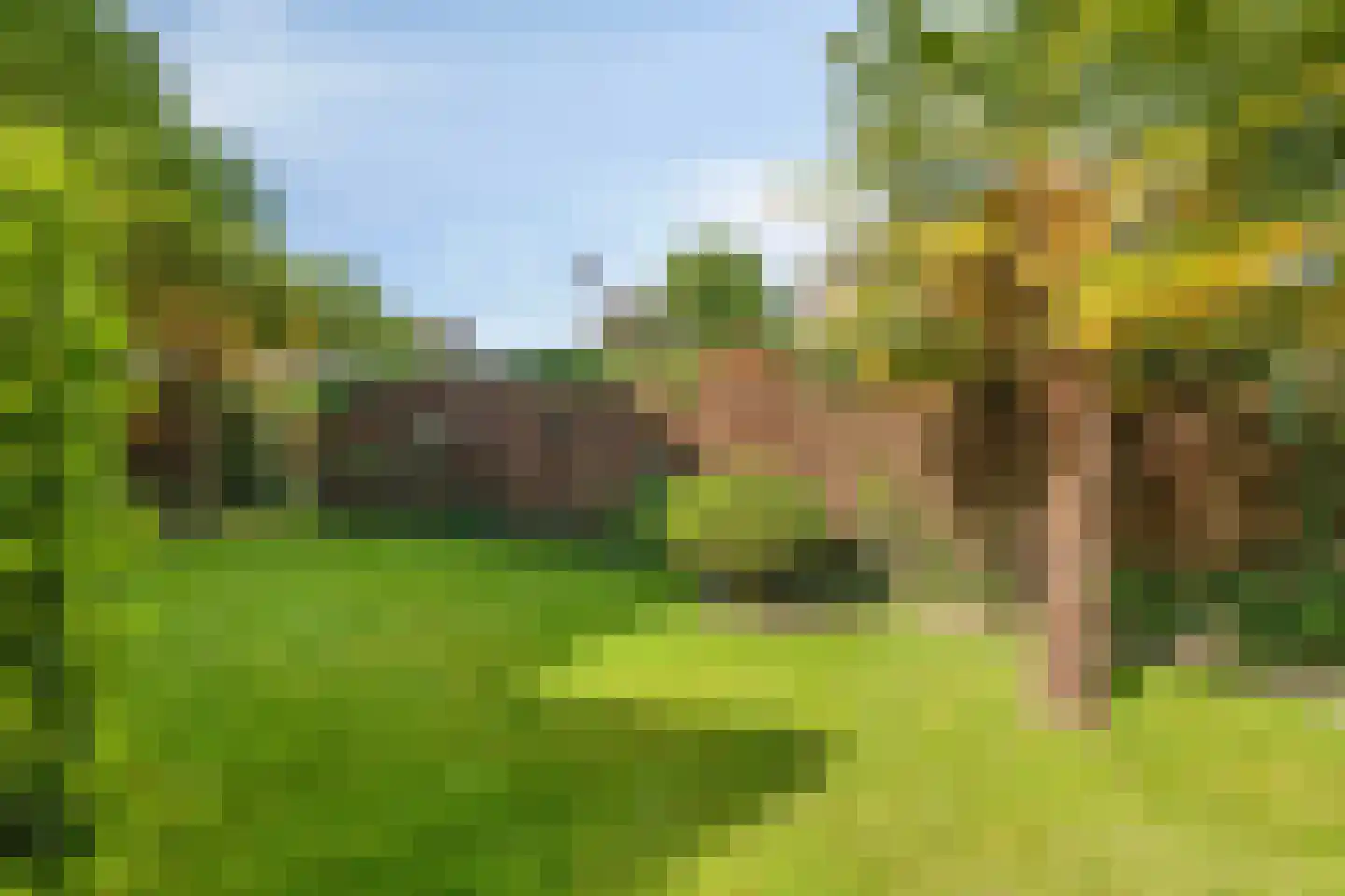 Europalaan 67 Etten-Leur thumbnail 26