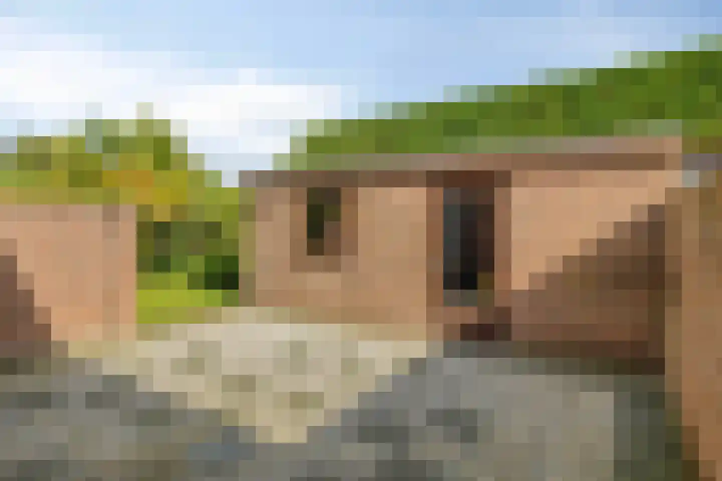 Europalaan 67 Etten-Leur thumbnail 30
