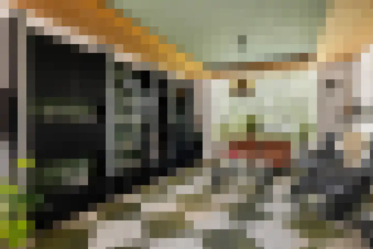 Europalaan 67 Etten-Leur thumbnail 6