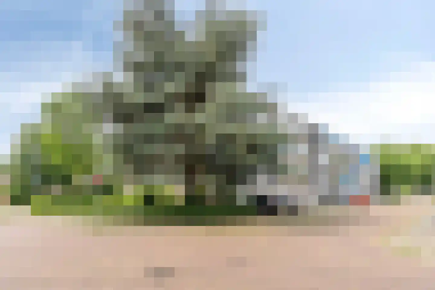Europalaan 68 Eindhoven thumbnail 32